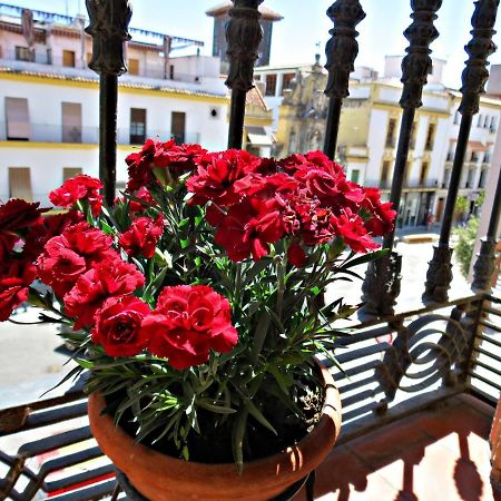 Via Alfaros Apartman Córdoba Kültér fotó
